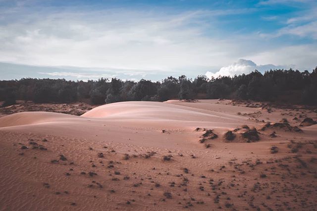 A tranquil desert landscape with sand dunes and trees under a cloudy blue sky.