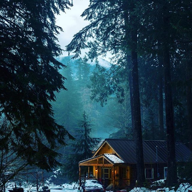 A cozy cabin nestled in a snow-covered forest creates a serene winter scene, perfect for a peaceful getaway.