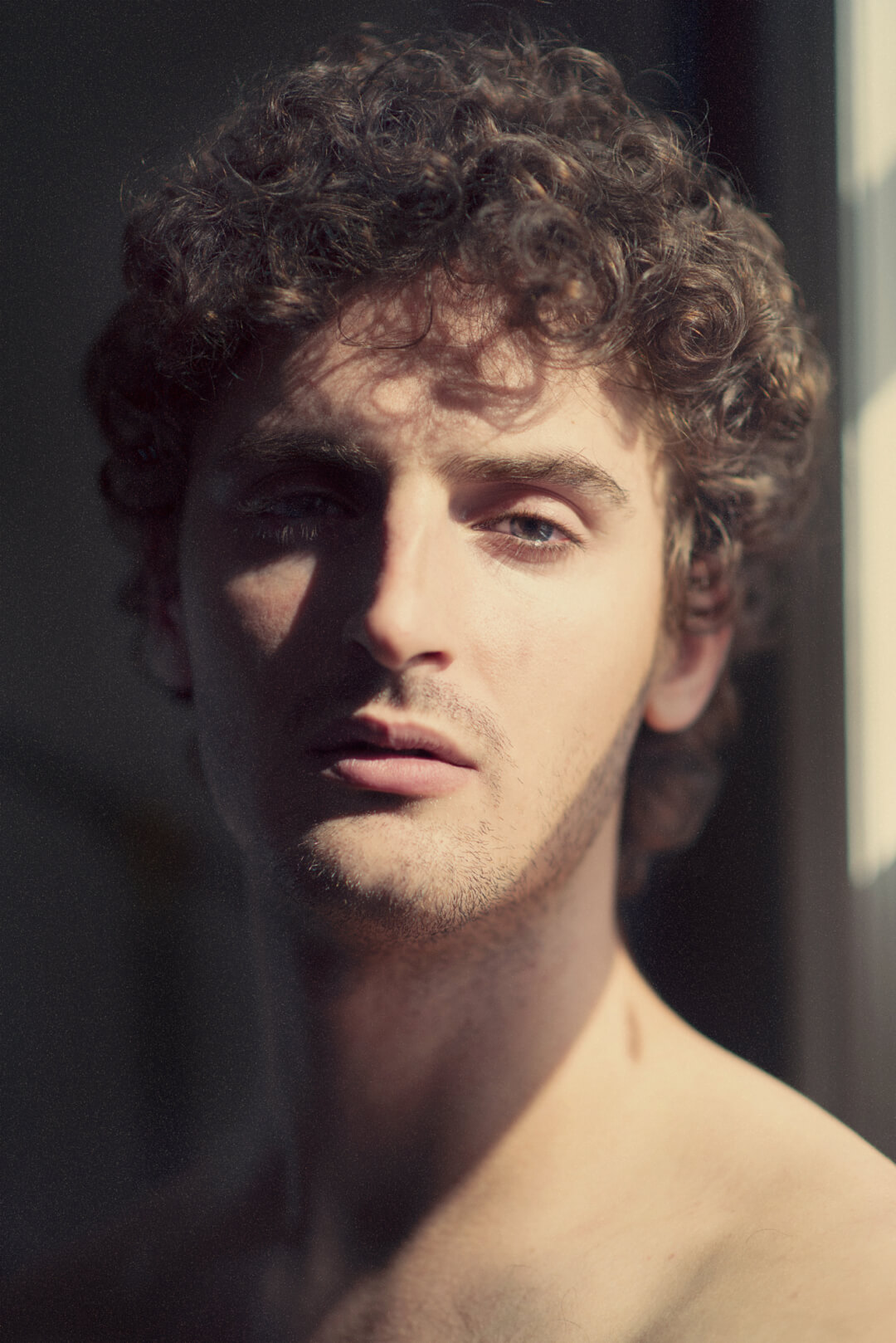 Portrait of a handsome young man with curly hair in soft window light, showcasing masculine beauty and youthful appearance.