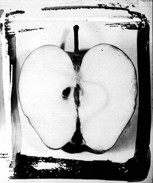 A high-contrast, black-and-white still life of a cut apple showcasing its inner core and stem.