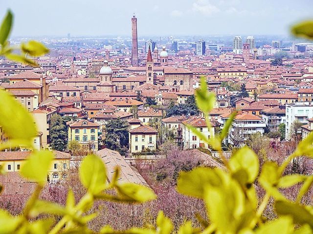 Panoramic view of Bologna's cityscape with its iconic towers and terracotta rooftops, capturing the essence of Italy.