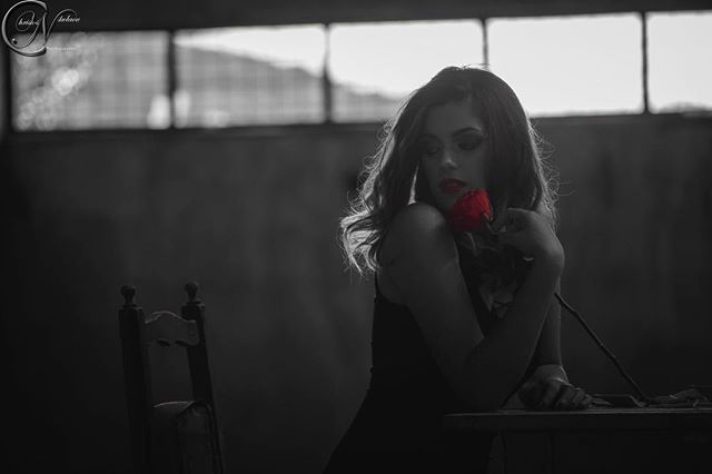 A woman in black dress holds a red rose in a moody, monochrome setting, perfect for emotive storytelling and beauty concepts.