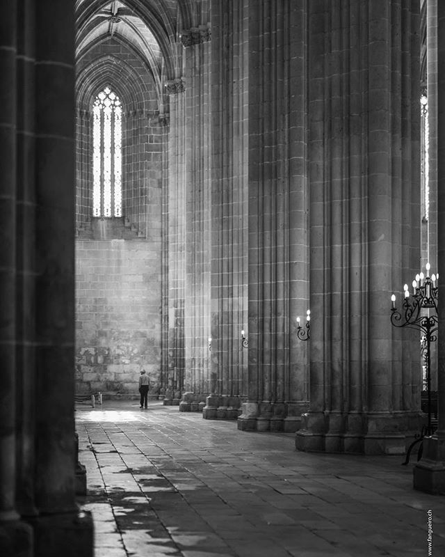 A lone figure walks through a grand cathedral, emphasizing its historical architecture and serene atmosphere.