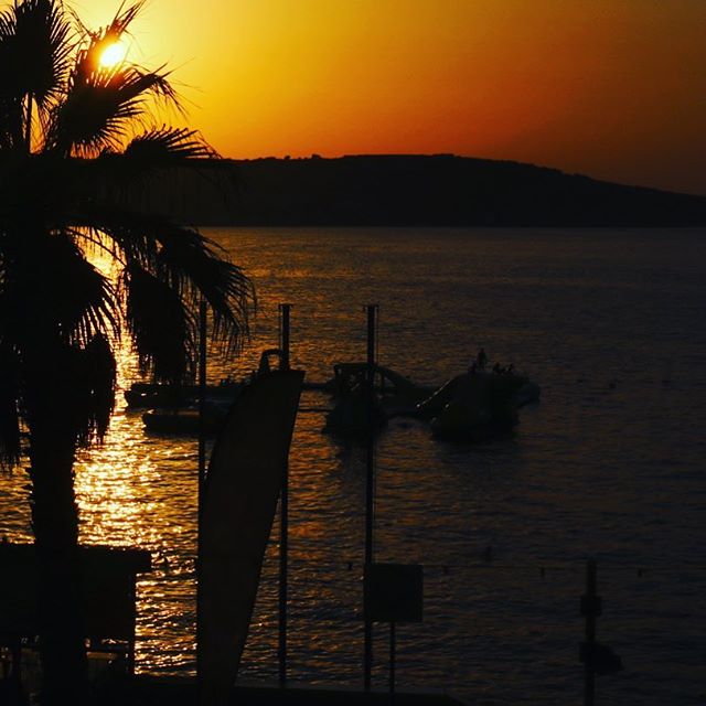 Warm sunset over the sea with palm tree silhouettes on the beach. Tropical, tranquil coastal scene.
