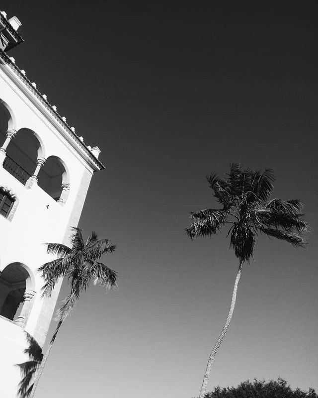 A black and white shot of a building with arches and palm trees against a bright sky.