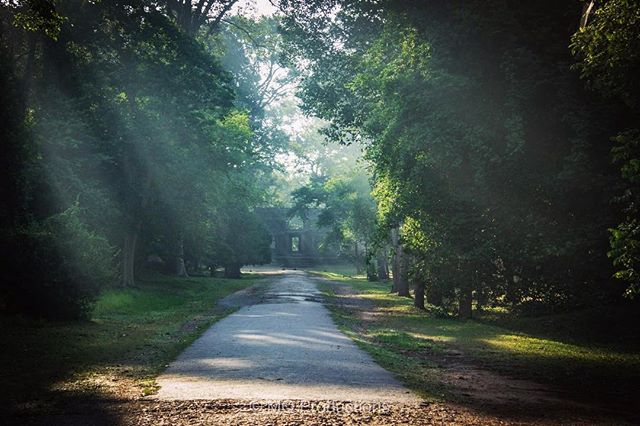 A path through lush greenery leads to a structure in the distance, bathed in soft, diffused natural light.