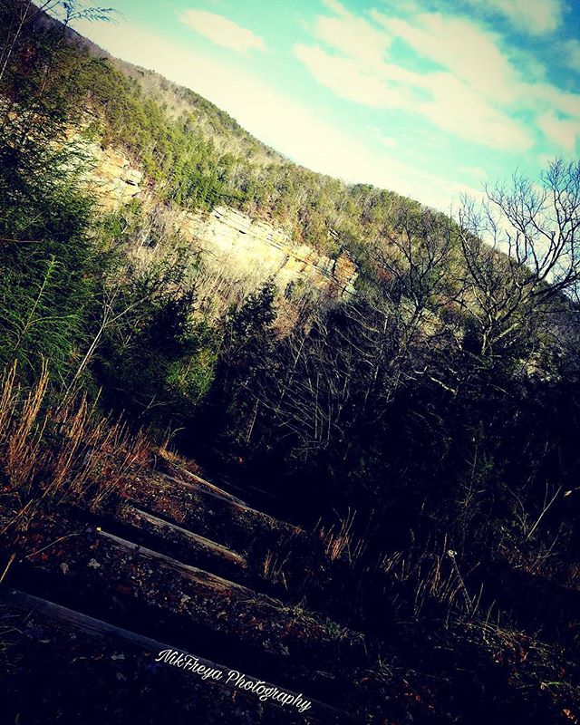 A serene landscape features a forest, mountain cliff, and logs, perfect for nature photography and adventure travel.