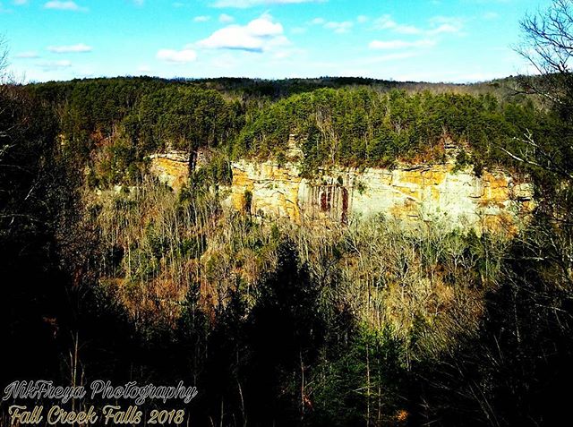 A scenic view of a cliffside covered in trees under a blue sky. Fall Creek Falls wilderness scenery.