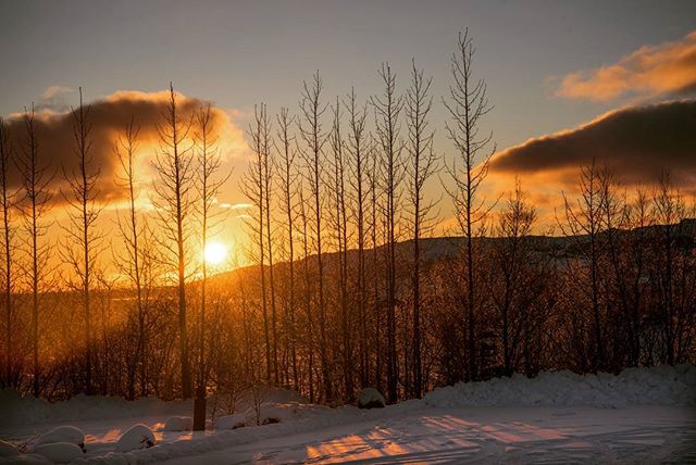 A serene winter sunset illuminates snow and bare trees in a tranquil outdoor landscape.
