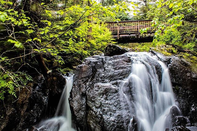 A waterfall rushes over rocks, flowing under a wooden bridge in a lush green forest.