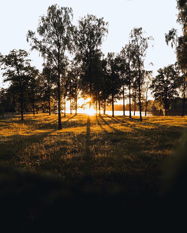Sunlight streams through trees in a serene park landscape, creating a warm and inviting scene.