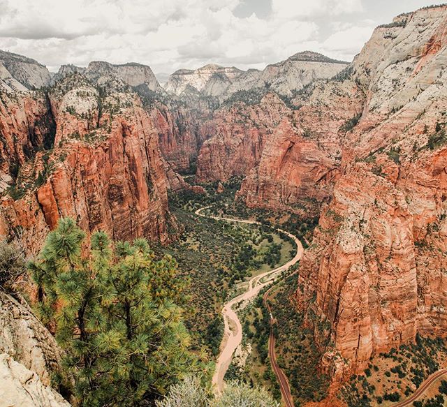 Breathtaking aerial view of Zion National Park's canyon, winding river, and majestic mountains, showcasing nature's grandeur.