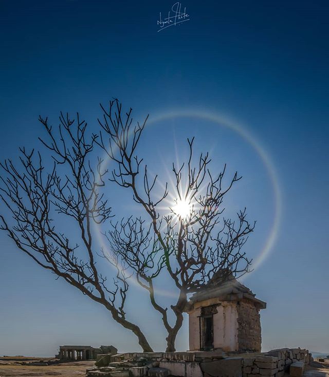 A tranquil scene with a bare tree and stone structure set against a clear blue sky with the sun creating a halo effect.
