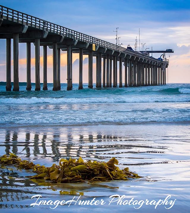 A scenic view of a pier stretching into the ocean, with seaweed in the foreground and calm waves on the beach.