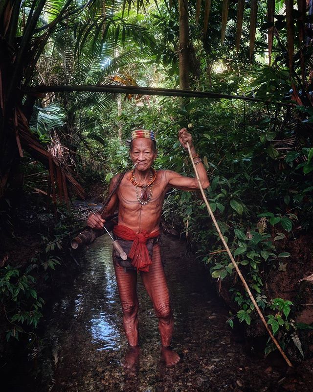 An elderly indigenous man stands in a jungle stream, showcasing traditional attire and cultural heritage.