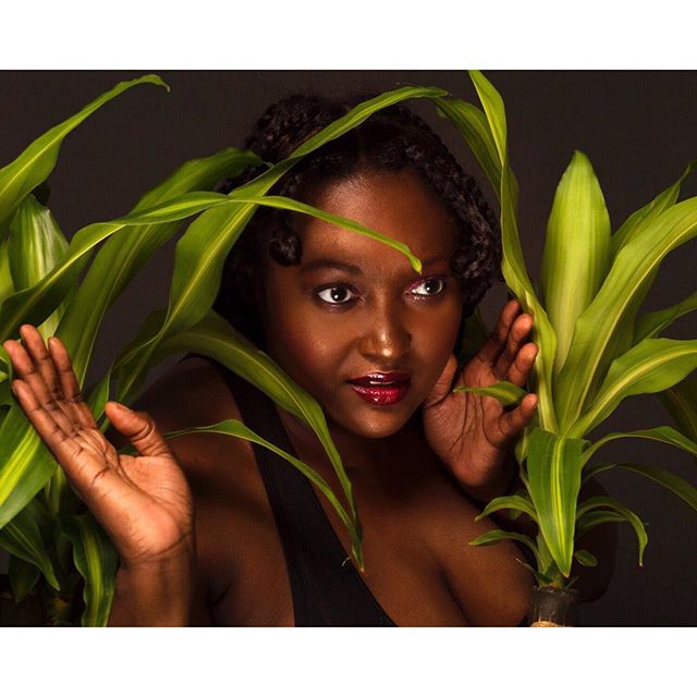 Portrait of a beautiful woman with dark skin amongst corn plants in a studio setting.