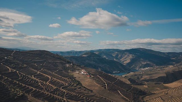 A scenic view of terraced vineyards on hillsides under a blue sky in a rural mountain landscape.