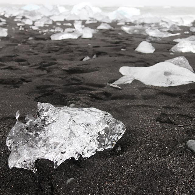 Chunks of ice rest on a black sand beach in Iceland creating a serene and stark landscape.