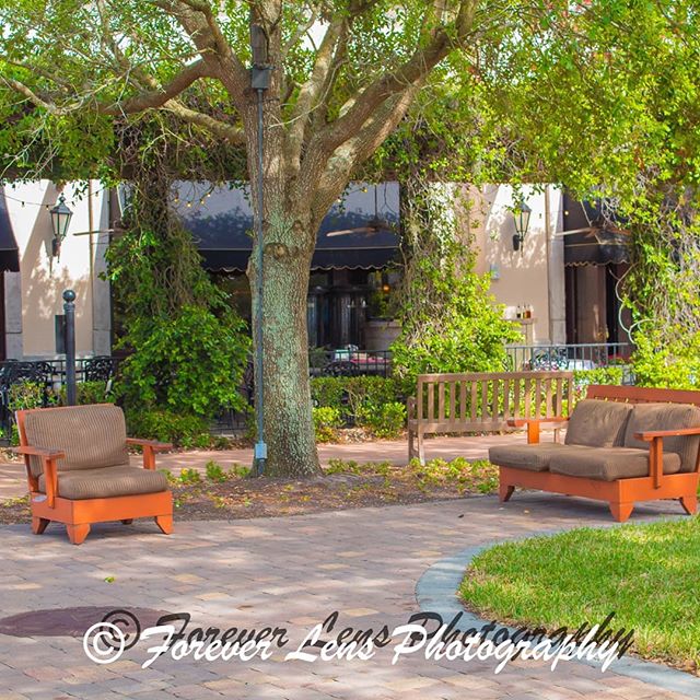 A tranquil courtyard scene with comfortable outdoor seating under a large tree on a brick-paved area.
