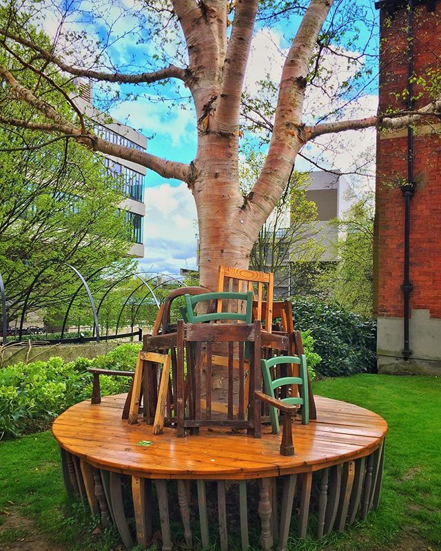 A tree grows from a wooden platform decorated with chairs in an urban park setting.