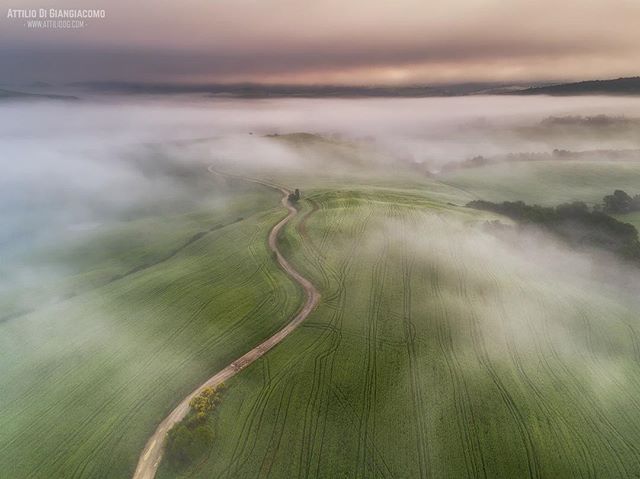 Aerial view of a dirt road winding through green hills covered in fog in the Tuscany countryside.