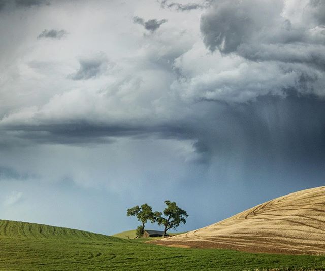 A tranquil landscape featuring rolling hills, two trees, and a barn under a dramatic sky, for nature and agriculture themes.
