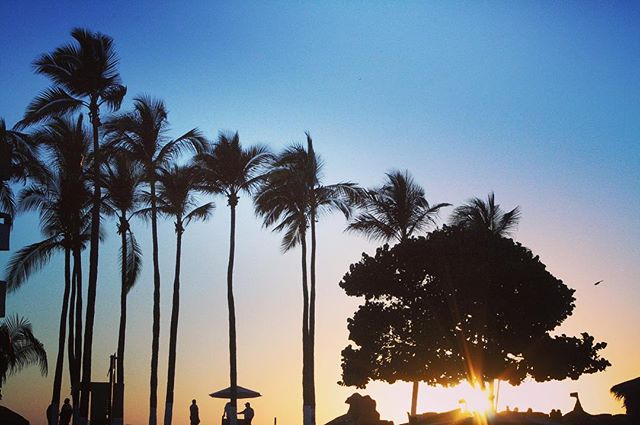 Silhouetted palm trees and people on a beach against a sunset sky.