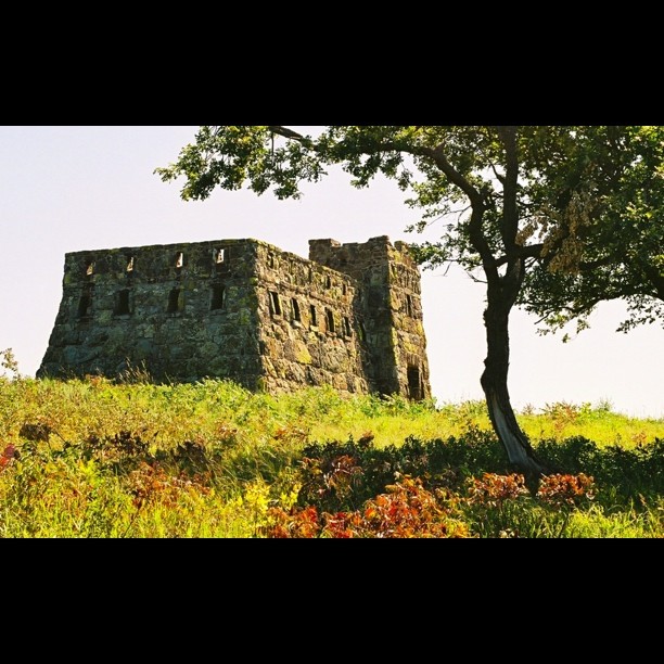 A stone castle sits atop a grassy hill next to a large tree, creating a scene of history and nature.