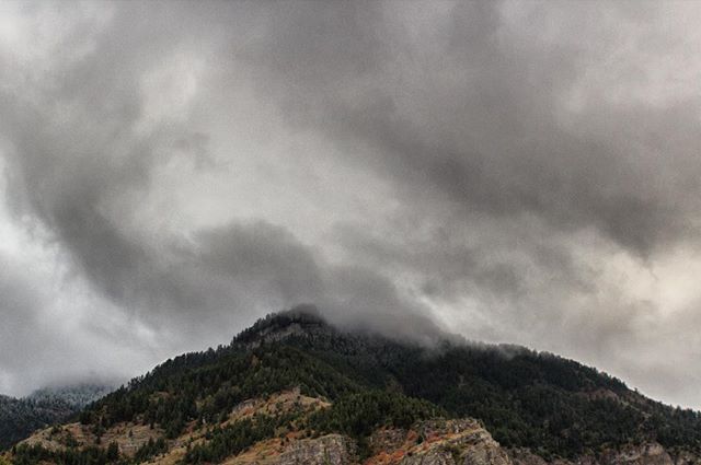 A dramatic mountain landscape features a lush forest partially obscured by low-hanging, moody storm clouds.