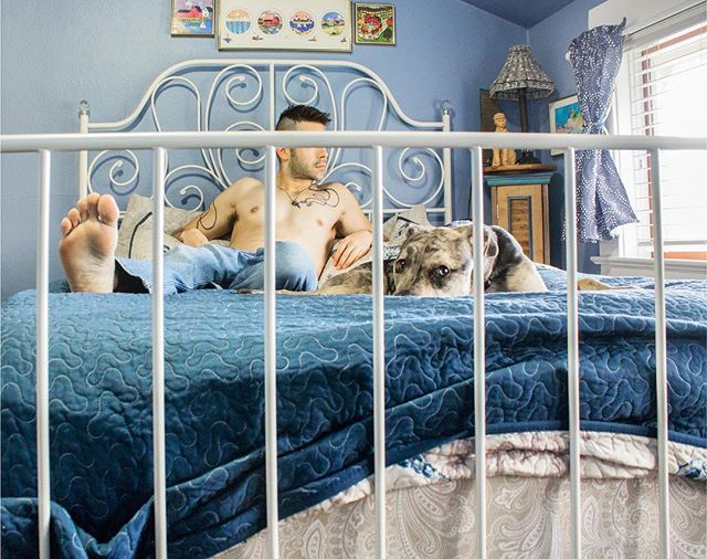 A man and his dog relax together on a blue bed in a blue bedroom, creating a cozy, intimate moment.