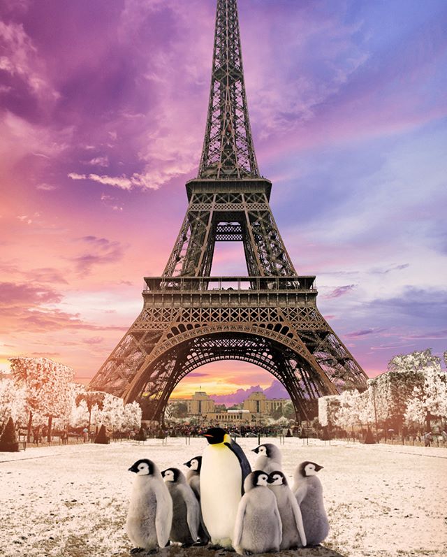 Penguins gather in front of the Eiffel Tower in Paris under a colorful sunset sky.