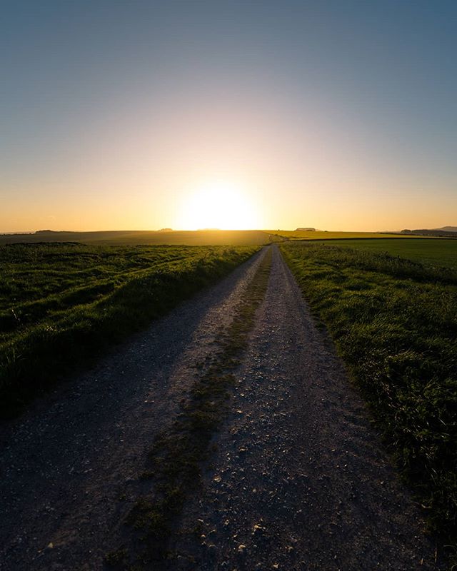 A dirt path leads to a bright sunset over a green field, creating a serene and scenic landscape perfect for travel or nature themes.
