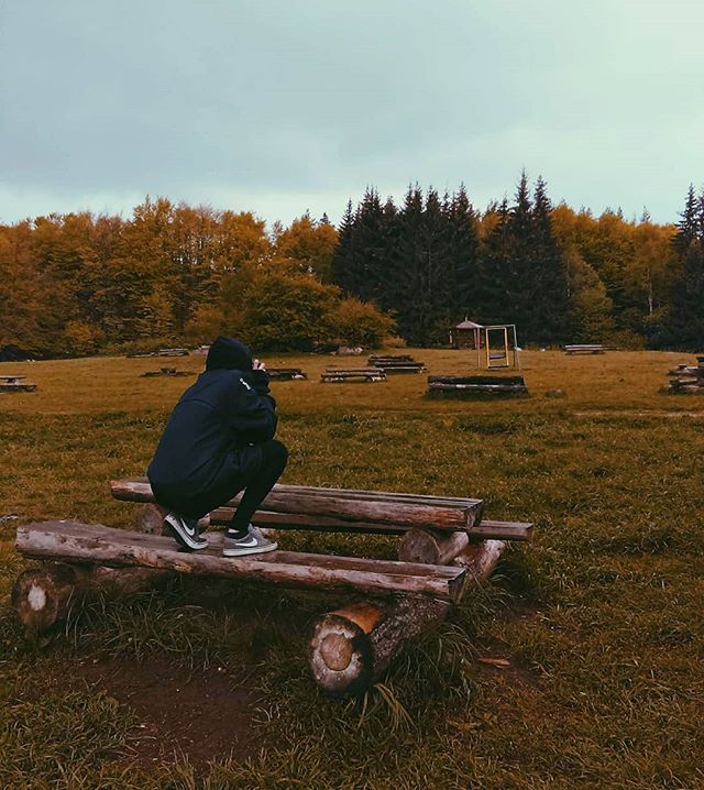 A person sits on a log bench in a serene field surrounded by trees, enjoying the peaceful scenery.