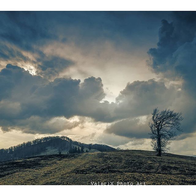 A solitary tree stands on a hilltop under a dramatic, cloudy sky, creating a serene landscape.