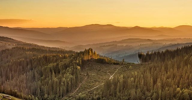 Scenic view of forested mountains at sunset, with trees and a clear sky.