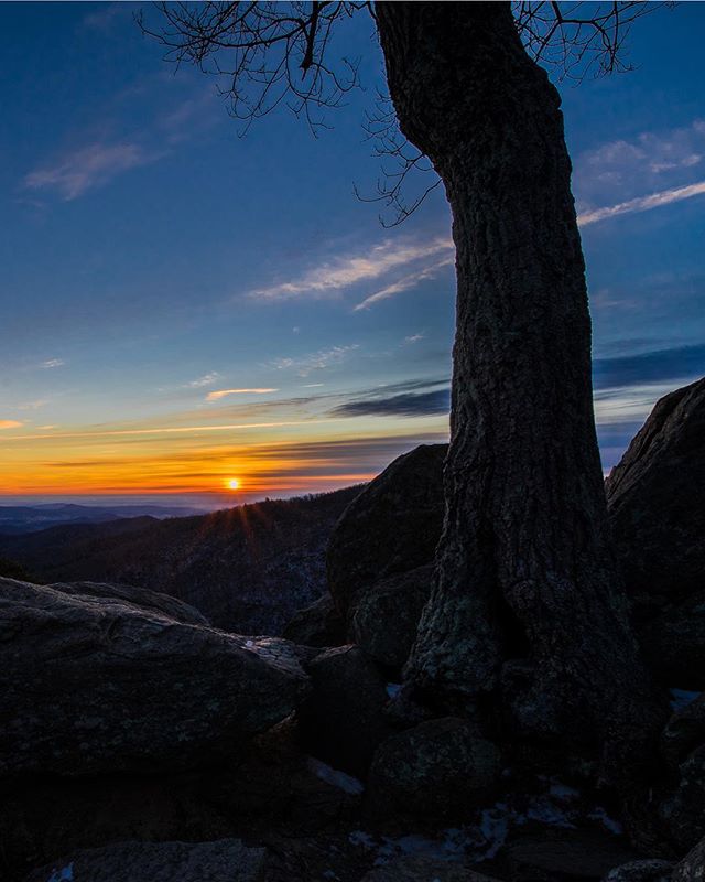 A scenic view of a mountain landscape at sunset, featuring a tree and rocks.