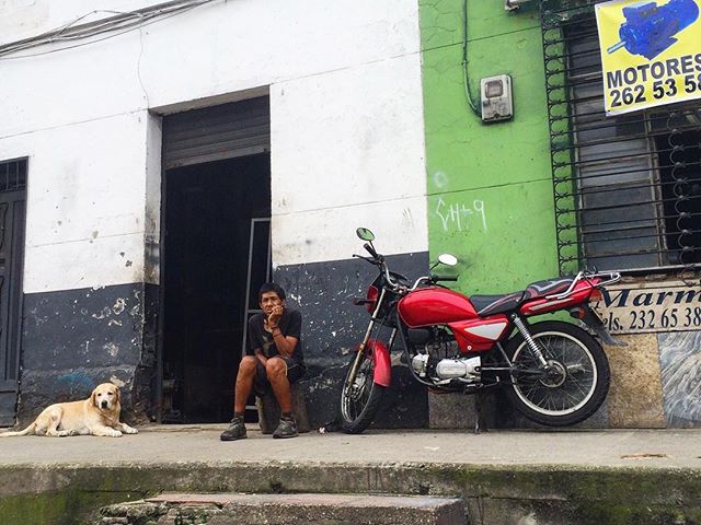 A man sits beside his red motorcycle, with a dog lying nearby on a city street during daytime.