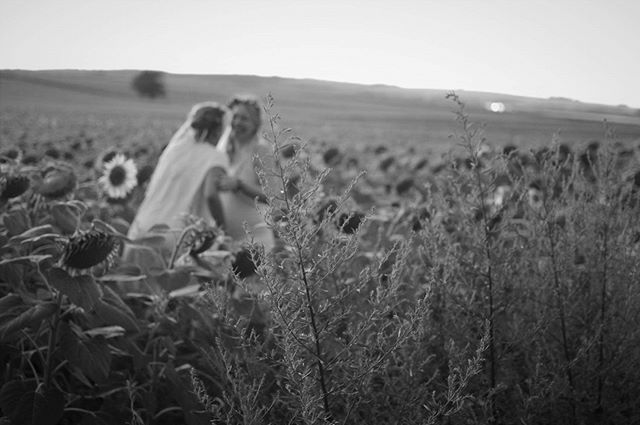 Two women enjoy a walk in a field of sunflowers on a summer day in a black and white aesthetic.