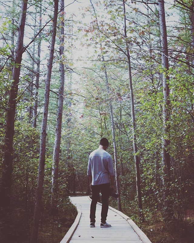 A man walks a wooden path through a serene forest, surrounded by tall trees and lush greenery.