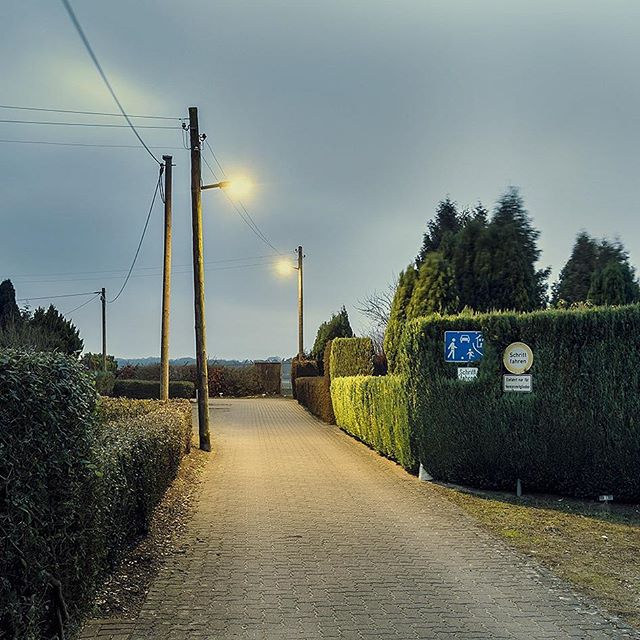 A quiet brick path lined with manicured hedges and lit by lampposts leads through a calm neighborhood.