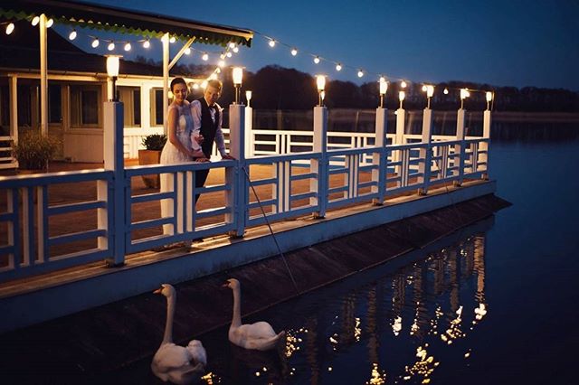 A bride and groom stand on a deck by the water at night, with two swans swimming nearby.