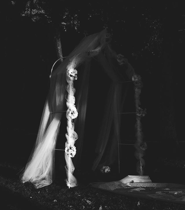 An elegant wedding arch adorned with flowers and sheer fabric creates a romantic outdoor setting.