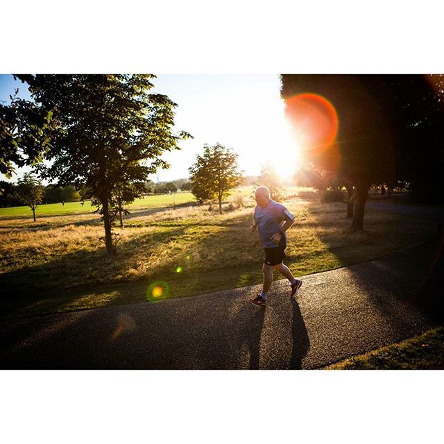 Man jogging on a path in a park during a sunny day.