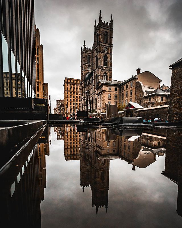 Notre-Dame Basilica reflecting in a puddle in Montreal offers a serene and striking urban view.
