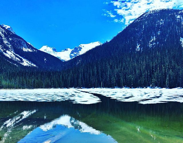 A scenic view of a calm lake reflecting snow-capped mountains and evergreen trees under a clear blue sky.