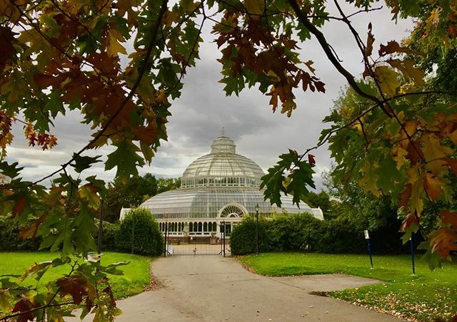 A glass conservatory dome is viewed through autumn leaves in a botanical garden on a cloudy day.
