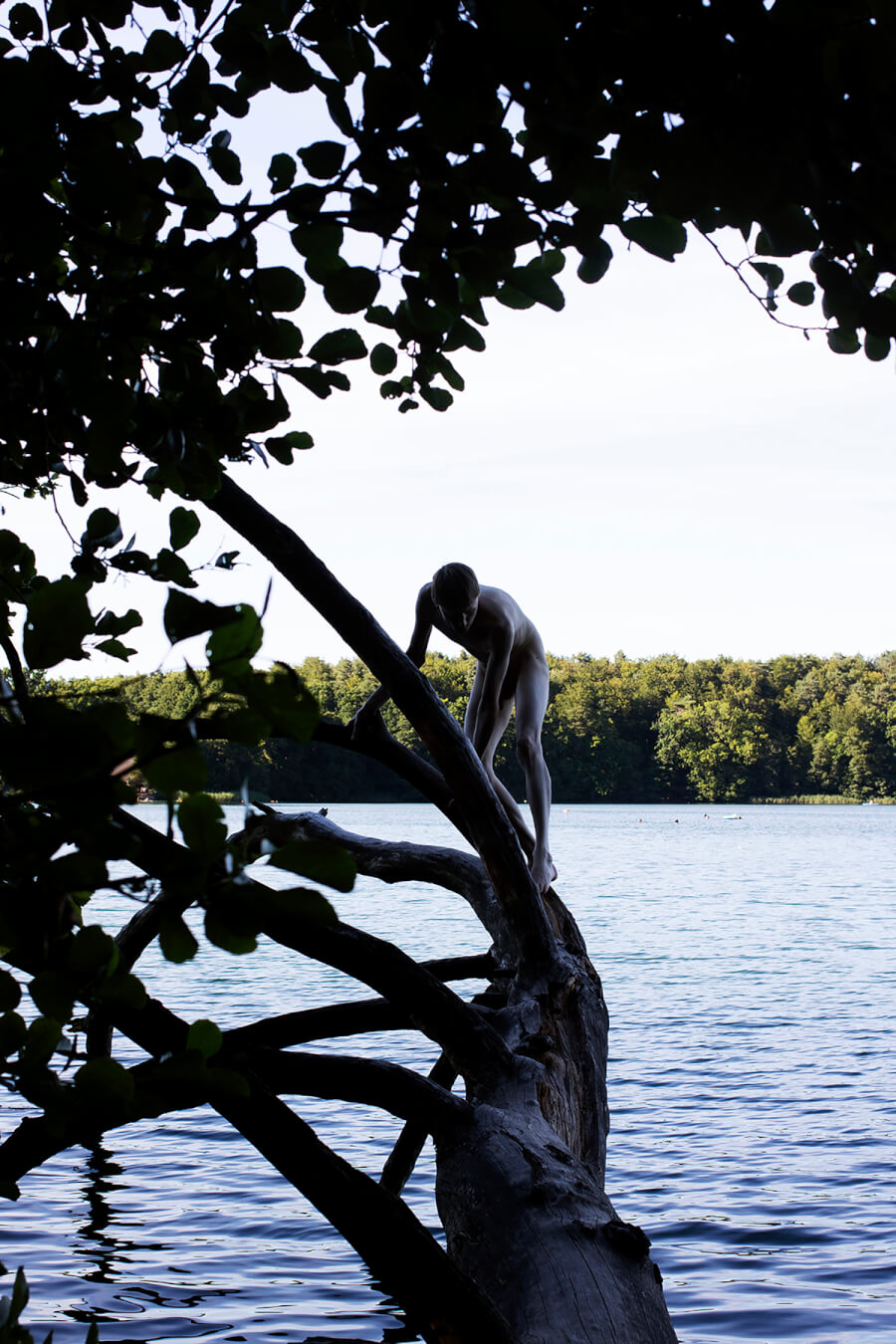 A nude man stands on a fallen tree near a lake, framed by silhouetted branches and leaves.