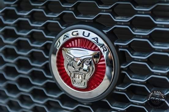 Close-up of a Jaguar car logo on the grill showcasing automotive design and brand identity.