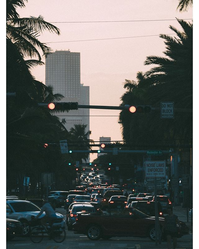 A busy street in Miami Beach, lined with palm trees and featuring a mix of cars and a cyclist at sunset.