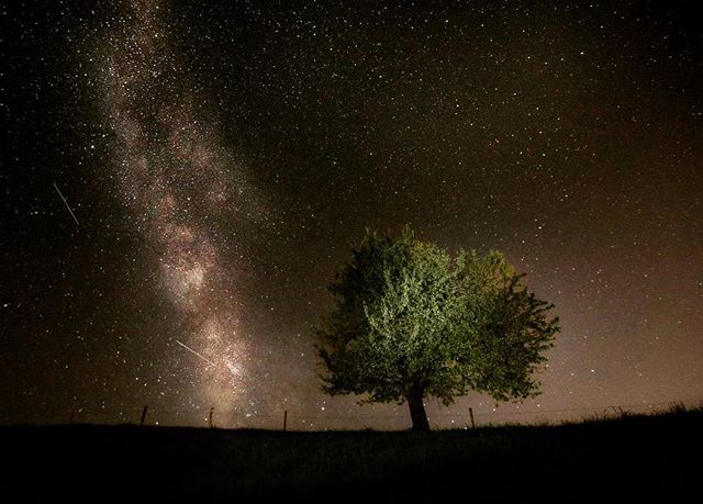 A lone tree stands beneath a breathtaking night sky filled with stars and the Milky Way galaxy.